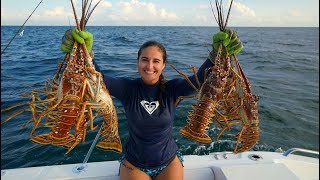 STUNG by POISONOUS MAN O WAR While Lobstering CATCH and COOK [upl. by Yeo]