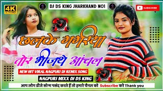 CHHALKEGAGRIYATORBHINJTHEANCHAL NETHETHNAGPURDJREMIXSONG2024 DJDSKINGJHARKHAND [upl. by Varden]