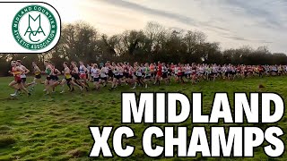 The Race of CHAMPIONS  2024 Midlands XC Championships at Newbold Comyn [upl. by Esille228]