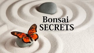 Youll REGRET Not Knowing These Bonsai Secrets [upl. by Cilo830]