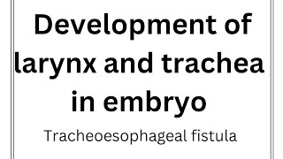 Re A 17 Development of larynx and trachea Tracheoesophageal fistula Anomalies of trachea [upl. by Ahsan509]