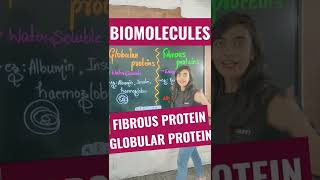 Biomolecules  Globular Proteins  Fibrous Proteins shorts [upl. by Enilrek]