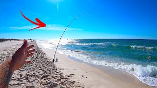 SUCCESSFUL Beach Fishing Tips for Gulf Shores AL [upl. by Salis]