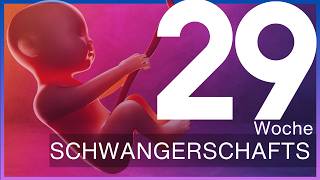 29 Schwangerschaftswoche Wie du dich und dein Baby optimal vorbereitest  Update 29 SSW – SSW29 [upl. by Saref]