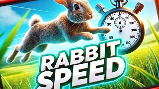 How fast can a rabbit be [upl. by Enirac]