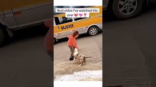 The way they say quotwe carequot shortsvideo goodvibes dog happy viral funnydog trending doglove [upl. by Xila]