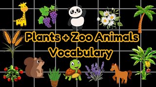 Zoo Animals  Plants Vocabulary for Kids to Learn  Learn Vocabulary for Children [upl. by Johppah]