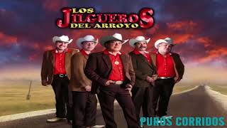 Los Jilgueros Del Arroyo  Puros Corridos Mix 2020 [upl. by Linnea]