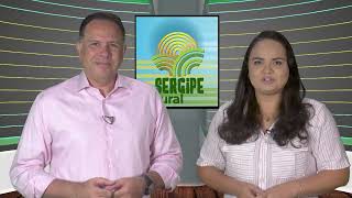 SERGIPE RURAL  PROGRAMA 446 [upl. by Calmas]