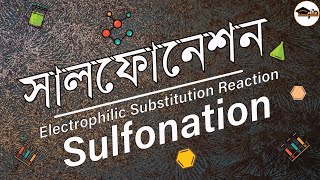 বেনজিনের সালফোনেশন  অ্যারোমেটিক যৌগের ইলেকট্রোফিলিক প্রতিস্থাপন বিক্রিয়া  Sulfonation of Benzene [upl. by Yedoc]