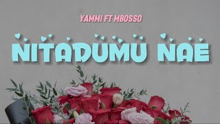 Yammi Ft Mbosso  Nitadumu nae Lyrics Video [upl. by Lyrehc]