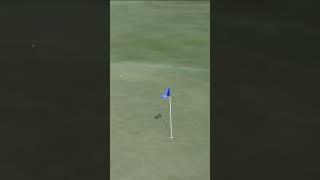 Scottie Scheffler hits 420yard BOMB at Kapalua 💣😮 [upl. by Ahsiak]