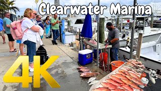 Coastal walk in Clearwater Beach Florida Marina  ASMR Nature sound good for study and sleep 4K [upl. by Rurik]