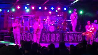 Here Come The Mummies  quotFlute BeatboxShag Carpetquot live at Harvest Fair Wisconsin 09282024 [upl. by Faustina]