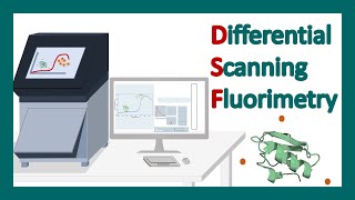 Differential Scanning Fluorimetry DSF  DSF application  Thermal stability of protein [upl. by Niknar]