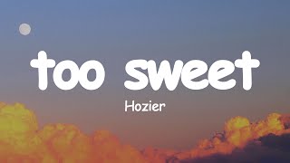 Hozier  Too Sweet Lyrics [upl. by Anyahs]