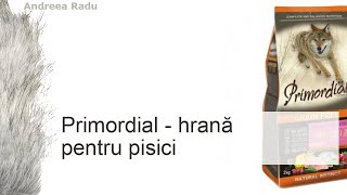 Mâncare primordială pentru pisici [upl. by Yzus]