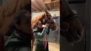 The final part to our bridle fitting series bridle bitfitting equestrianlife [upl. by Jacquelynn]