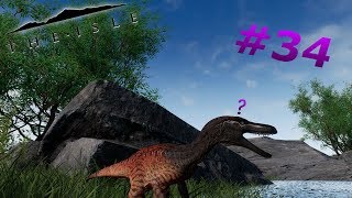 Curious Velociraptor Carnivore Prog  The Isle Gameplay Part 34 [upl. by Ebberta950]