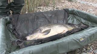 Lago di Pusiano carp fishing [upl. by Tung557]