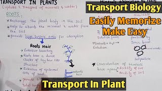 Transport In Plants  Apoplast  Symplst and Vacuolar pathway  Class 11 Biology [upl. by Drud]