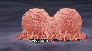 Cell Division Mitosis amp Meiosis  By Nagavelli Prasad [upl. by Akemat718]