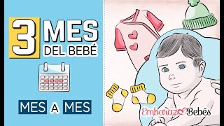 📆👶🏻 TERCER MES del bebé  3 MES  Desarrollo y cuidados [upl. by Verine677]