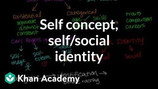 Self concept self identity and social identity  Individuals and Society  MCAT  Khan Academy [upl. by Hurley812]