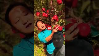 parrot latest video enjoy fruit duet new nature [upl. by Lewie32]