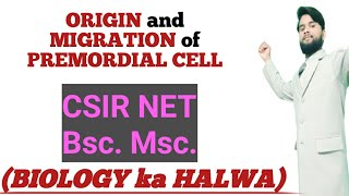 Primordial cell PGCs origin and migration  Ali [upl. by Eirelam]