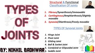 Types of Joints in the Human Body [upl. by Vipul284]