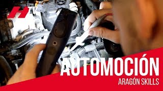 Tecnología del Automóvil y Automoción en Aragón Skills [upl. by Nylazor]