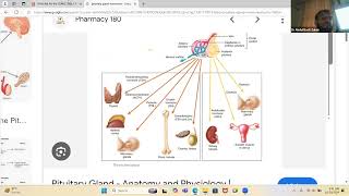 Endocrine Physiology First Aid USMLE Step 1 [upl. by Kuth]