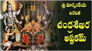 CHANDRASEKHARA ASHTAKAM TELUGU LYRICS amp MEANING [upl. by Philan]