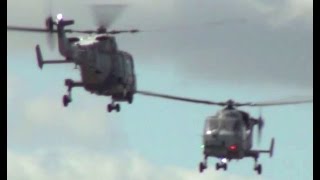 Royal Navy Black Cats  RNAS Yeovilton Air Day 2015 [upl. by Brinna]