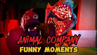 THIS GAME IS HILARIOUSLY SCARY  animal company FUNNY MOMENTS [upl. by Bowra743]