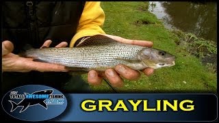 Grayling and Dace fishing  Ep3 Series 3  Totally Awesome Fishing [upl. by Randall]