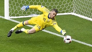 Best Goalkeeper Saves ● Euro 2016 [upl. by Shiroma774]