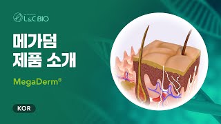 메가덤 MegaDerm 제품 소개 [upl. by Nivan]