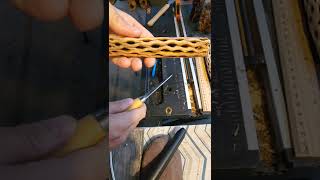 How I Clean Cholla Wood [upl. by Hcardahs798]