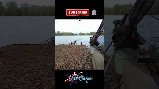 Bluebell Lakes  Mallard Lake  Carp Fishing  tonyukcarpin shorts short shortvideo carpfishing [upl. by Ettennor]