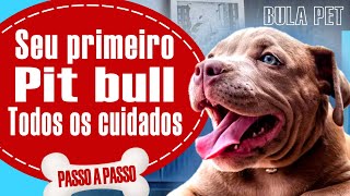 Dicas de como cuidar de filhote de Pitbull pela PRIMEIRA VEZ  PIT BULL [upl. by Krasner781]