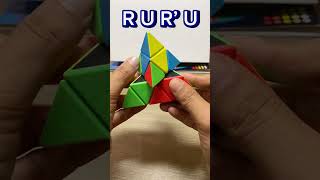 pyraminx New Easy pattern tricks 2k24 V8 131024 shorts viralvideo trending mrmnk [upl. by Yhtomit]