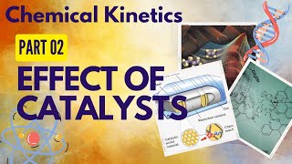 The Catalyst Effeect In Chemistry edexcelchemistry chedexcel [upl. by Onitnelav]