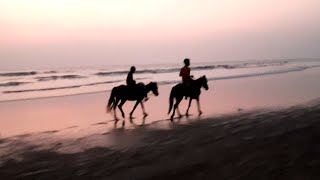 Cox’s Bazar Sea Beach View at Evening time [upl. by Eetsim572]