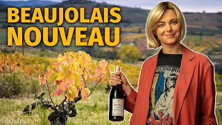 The Guide to BEAUJOLAIS NOUVEAU Wine [upl. by Aicrop]