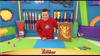 Art Attack 4 Insekter  Disney Junior Danmark [upl. by Burger]