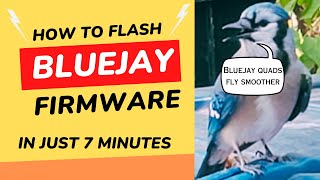 Quick and Easy Update BLHeliS ESCs to Bluejay Firmware [upl. by Eldoree]