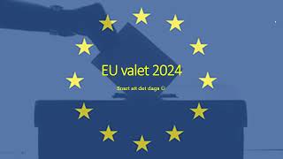 EU valet 2024  De viktigaste frågorna och vad de olika svenska partierna tycker amp tänker [upl. by Teferi396]