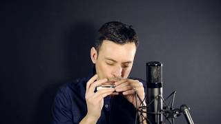 Chromatic Harmonica  Harmo Angel 12  Gypsy Jazz harmonica  Harmo Harmonicas [upl. by Yrotciv]